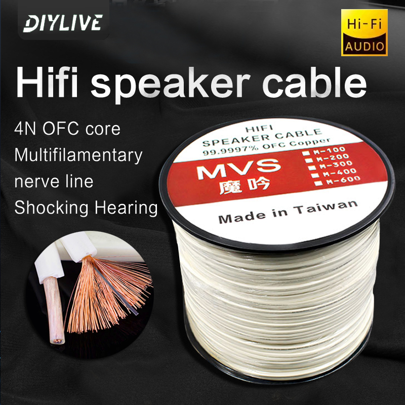 DIYLIVE HiFi Speaker line home - Home Cinema Couch 评论和价格