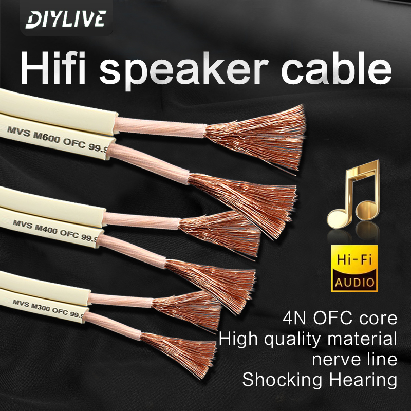 DIYLIVE HiFi Speaker line home - Home Cinema Couch 评论和价格