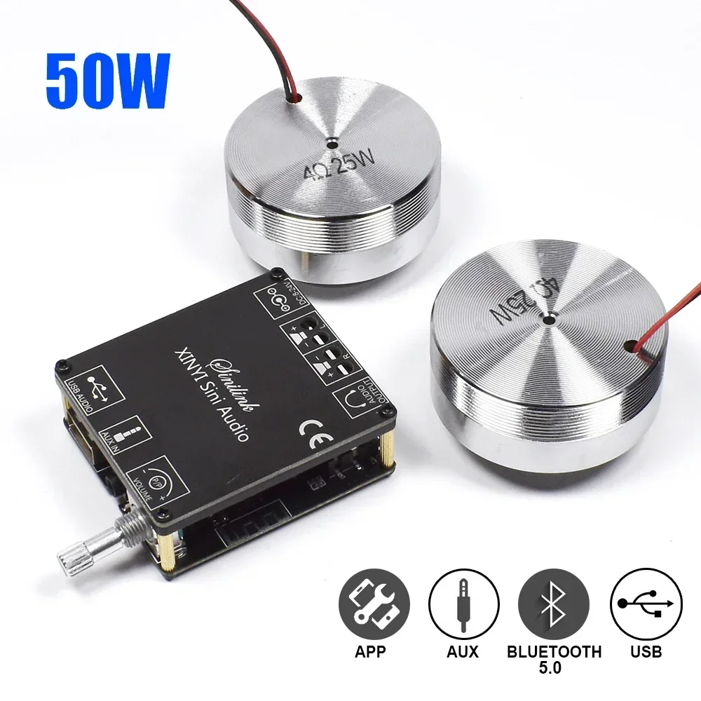 2*25W Portable Stereo Vibratio - Home Cinema Solution 评论和价格