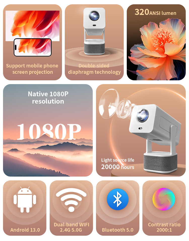Outdoor Karaoke projector, dou - Home Cinema Karaoke Projector 评论和价格